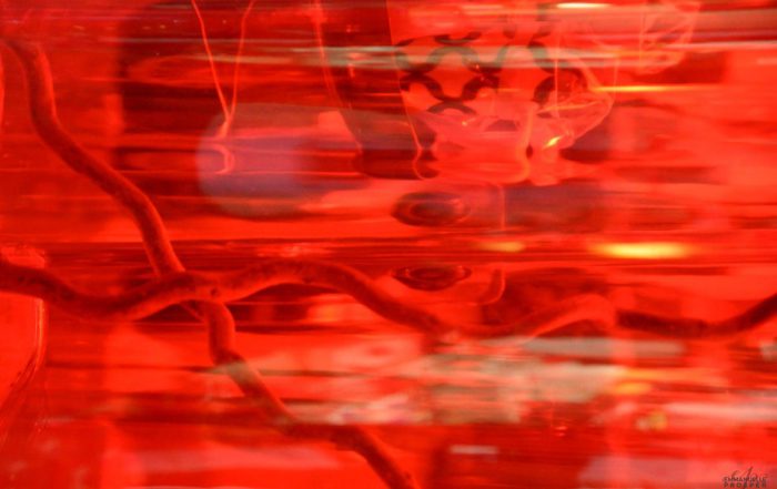 Magic Red Night | Emmanuelle Prosper