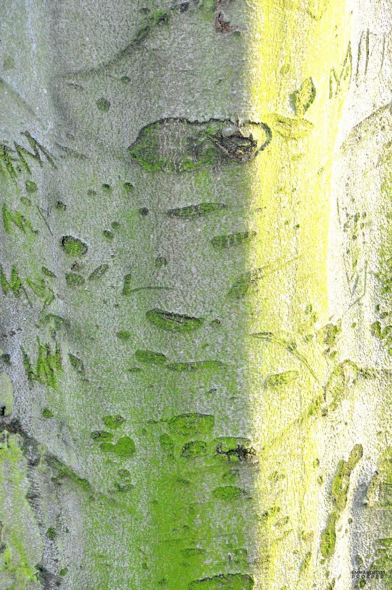 Slide thumbnail