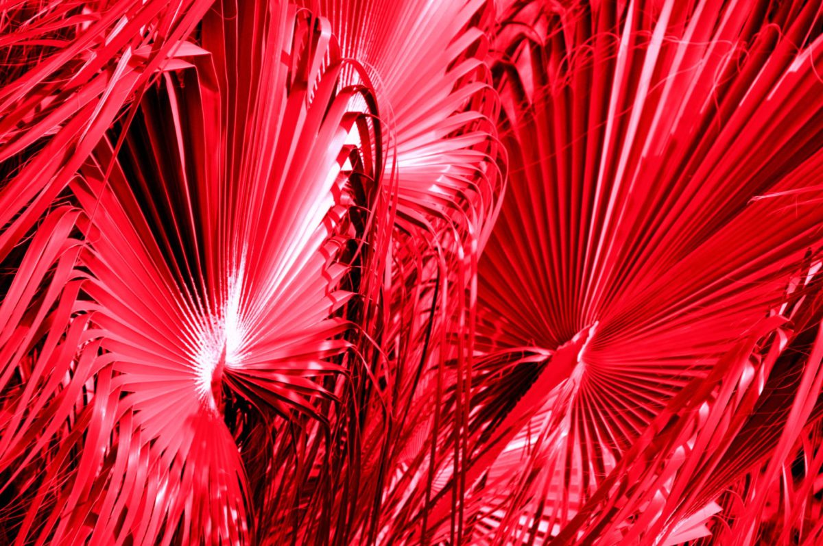 Slide thumbnail